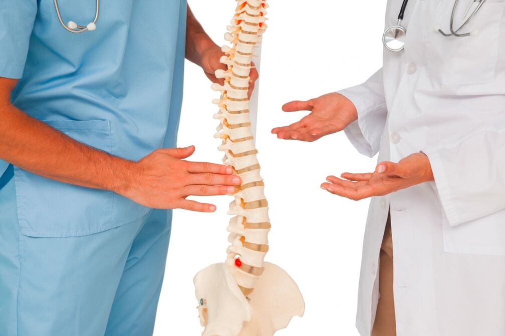 Il medico mostra la struttura della colonna vertebrale su un modello